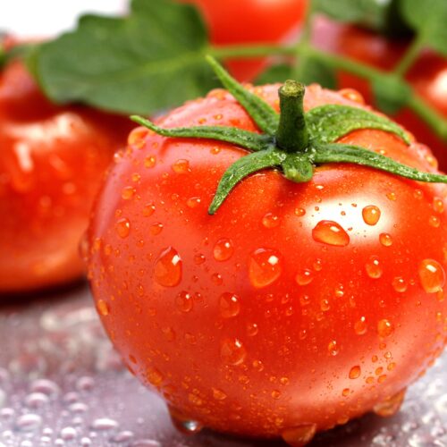 tomato