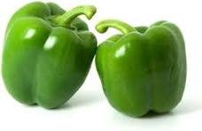 Capsicum