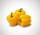 Capsicum Yellow